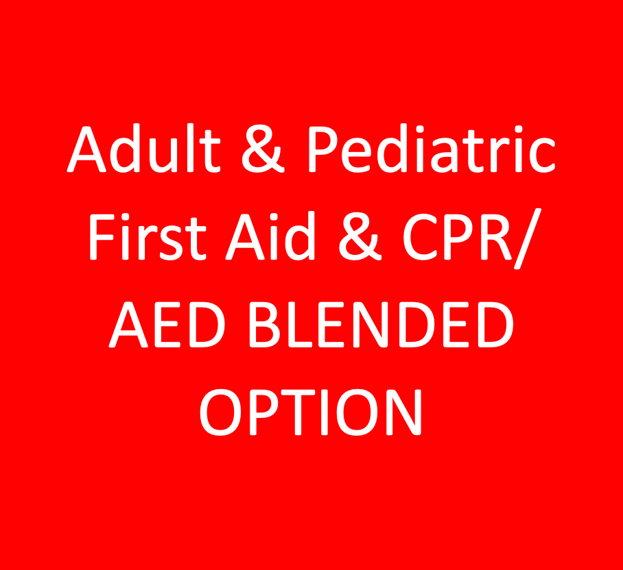 Adult & Pediatric First Aid & CPR/AED BLENDED OPTION