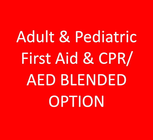 Adult & Pediatric First Aid & CPR/AED BLENDED OPTION – Palm Over Palm ...