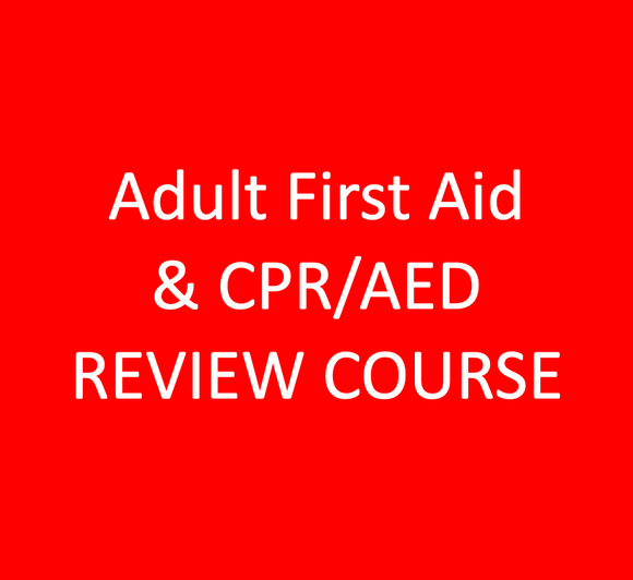 Adult First Aid & CPR/AED REVIEW COURSE – Palm Over Palm First Aid ...